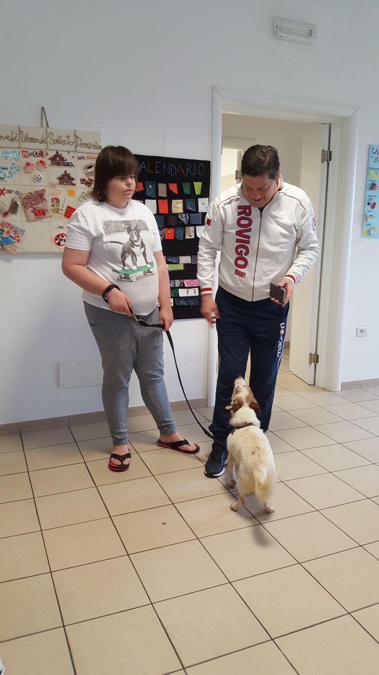 Un'immagine che ritrae cane, carnivori, guinzaglio, articoli per animali domestici e scarpe da ginnastica.
