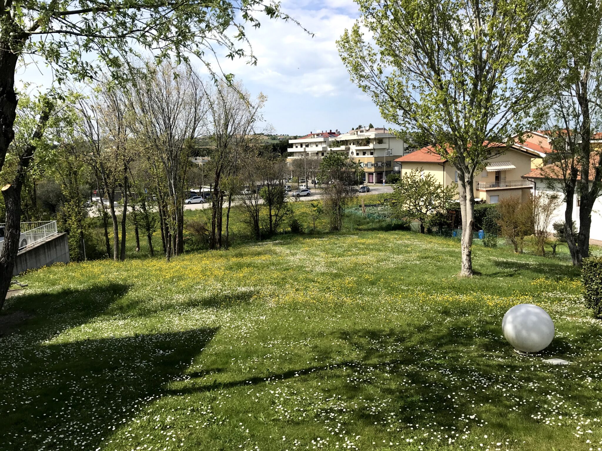 Un'immagine che ritrae erba, giardino, lotto di terreno, prato e erbe.