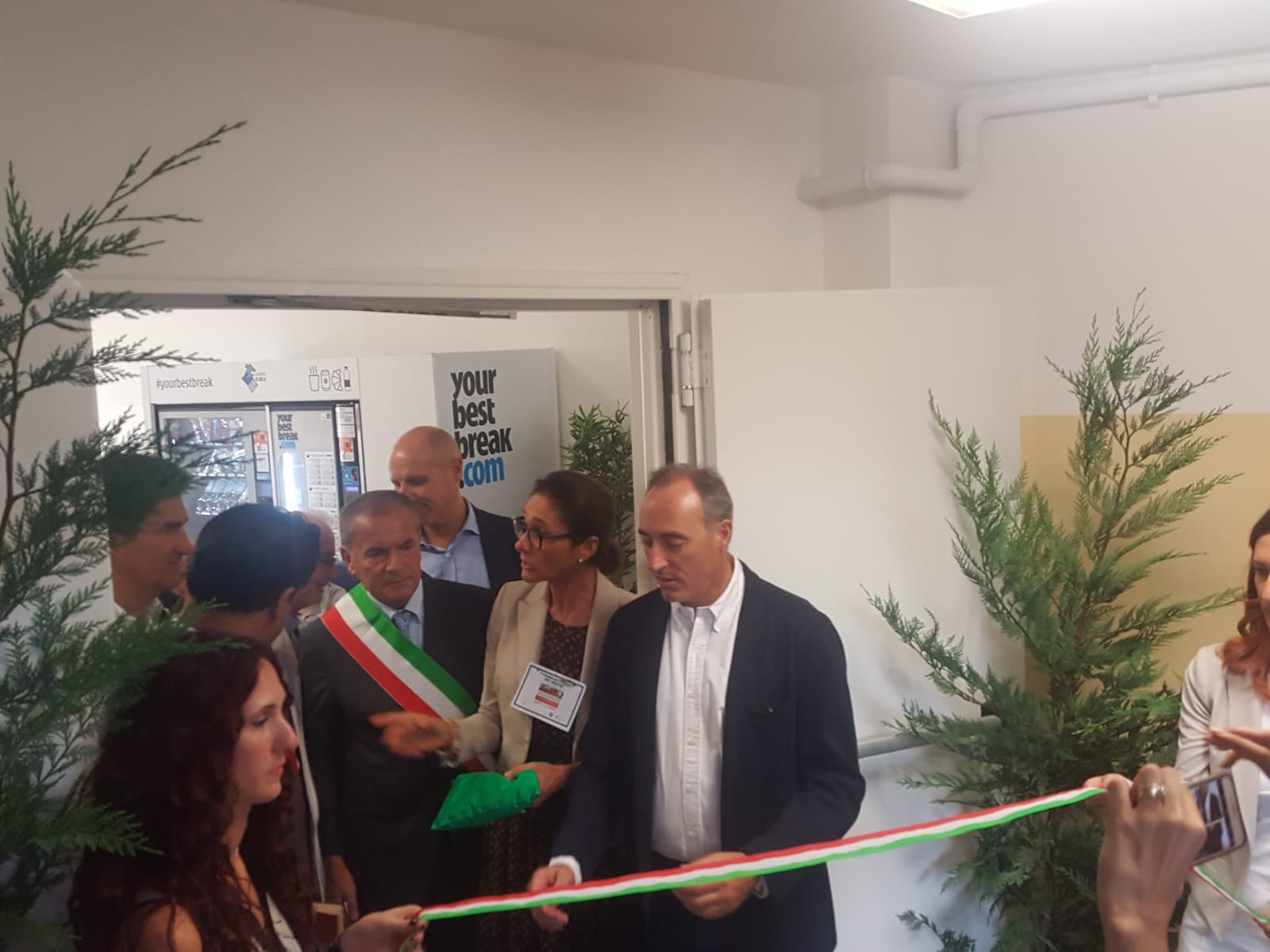 Un'immagine che ritrae design d'interni, pianta da appartamento, pulizia, gestione e design floreale.