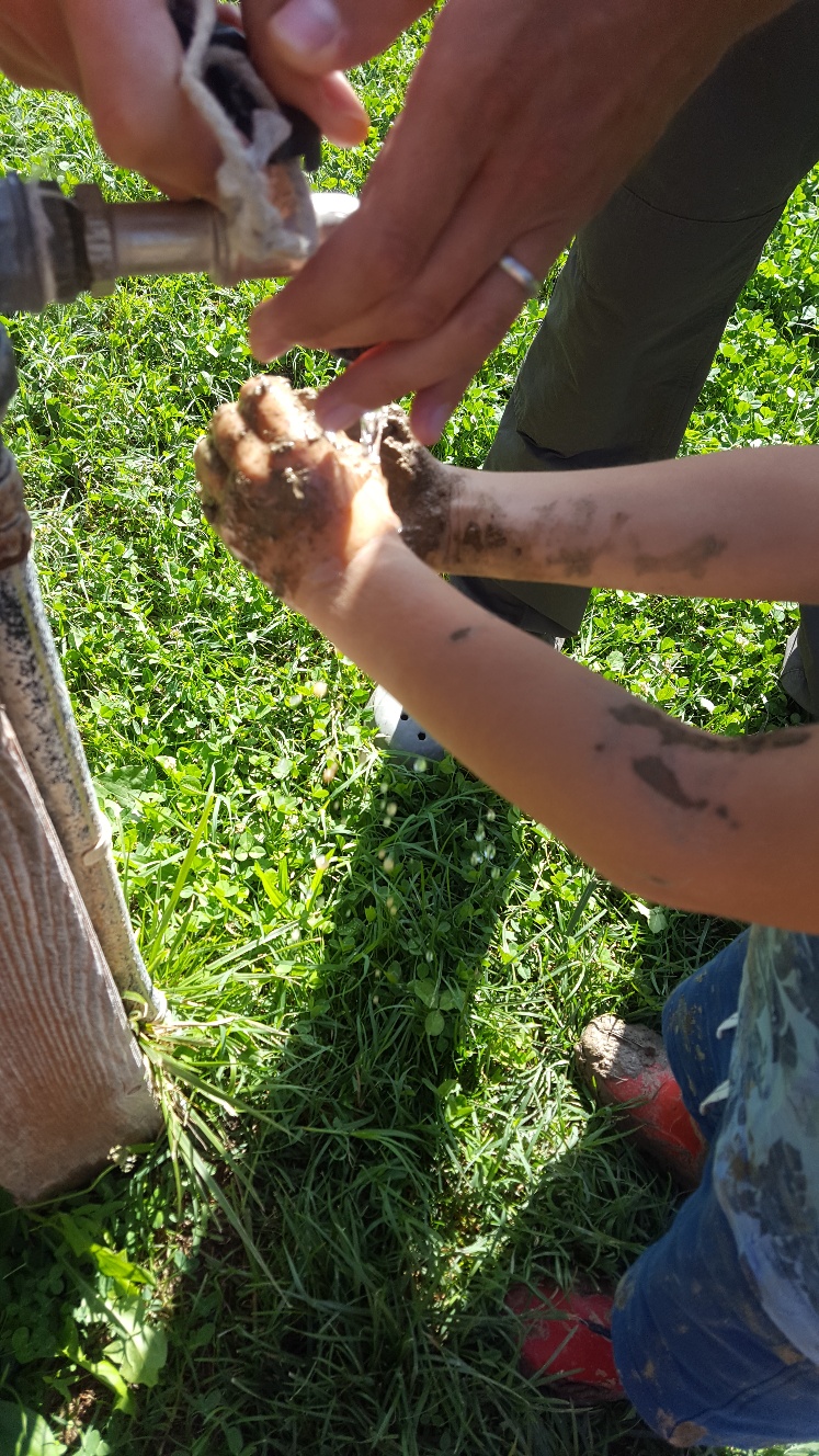 Un'immagine che ritrae suolo, denim, piede, giardinaggio e vitello.