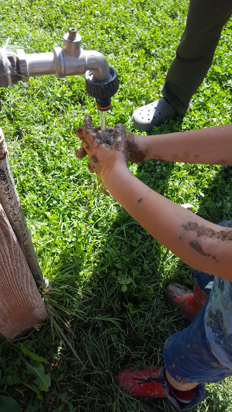 Un'immagine che ritrae tubo, tubo da giardino, suolo, idraulica e tubo flessibile.
