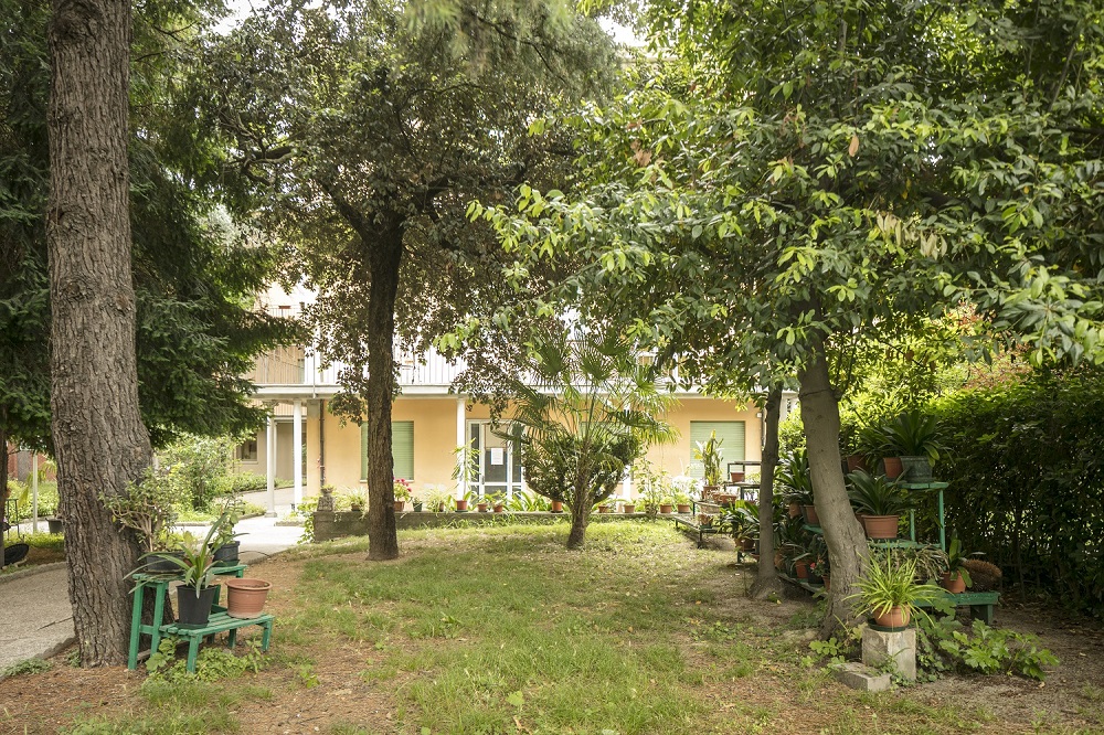 Un'immagine che ritrae arbusto, giardino, casa, prato e ombra.