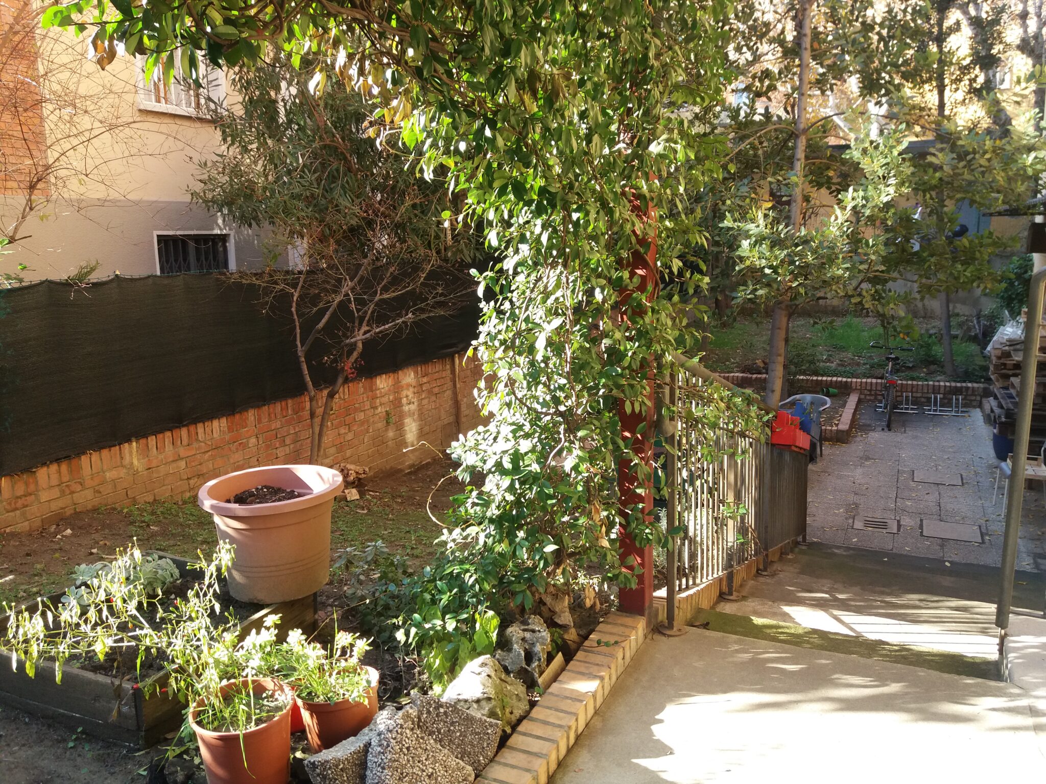 Un'immagine che ritrae foglia, piante, vaso di fiori, primavera e giardino.