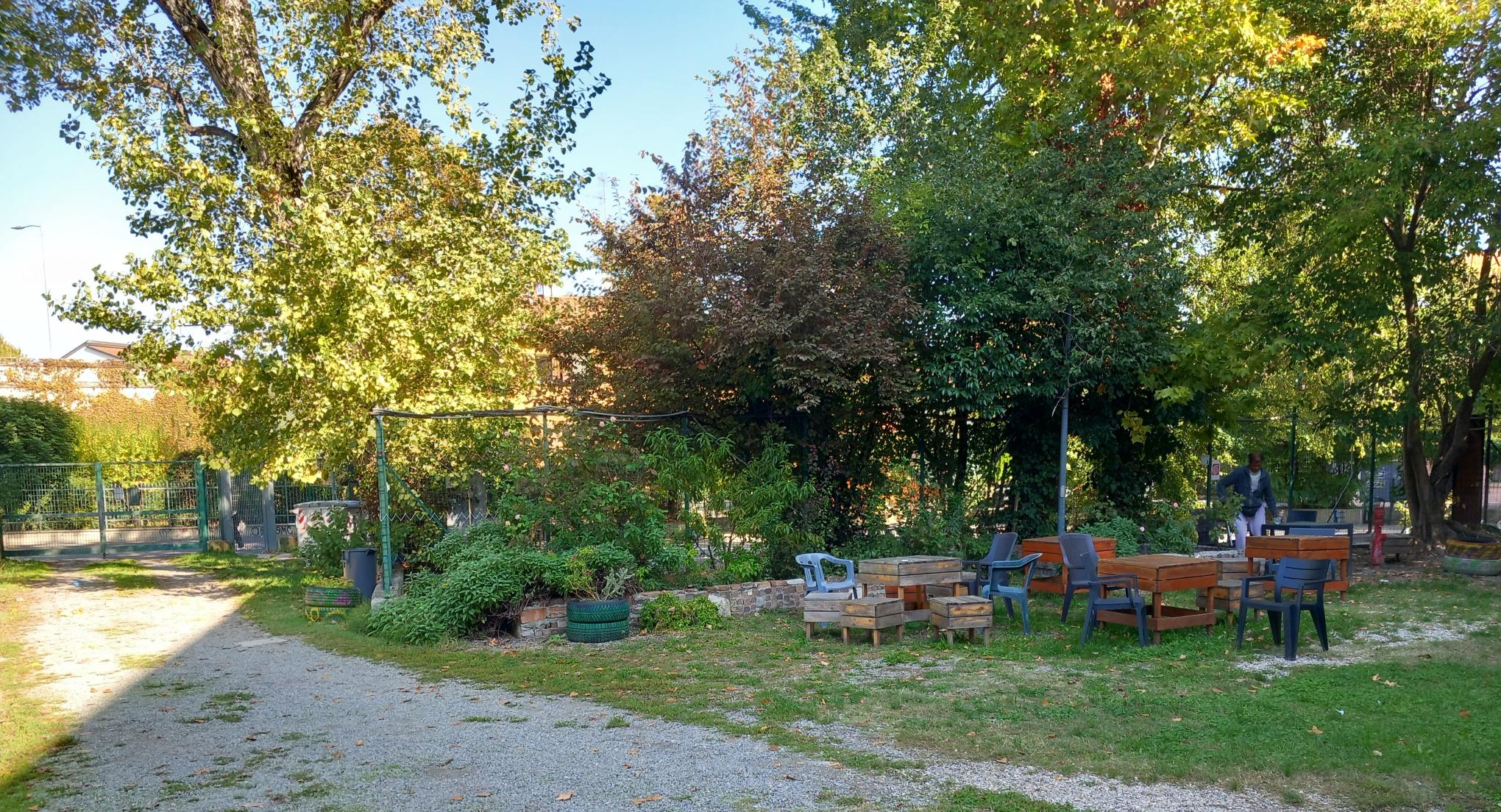 Un'immagine che ritrae albero, foglia, arbusto, giardino e primavera.