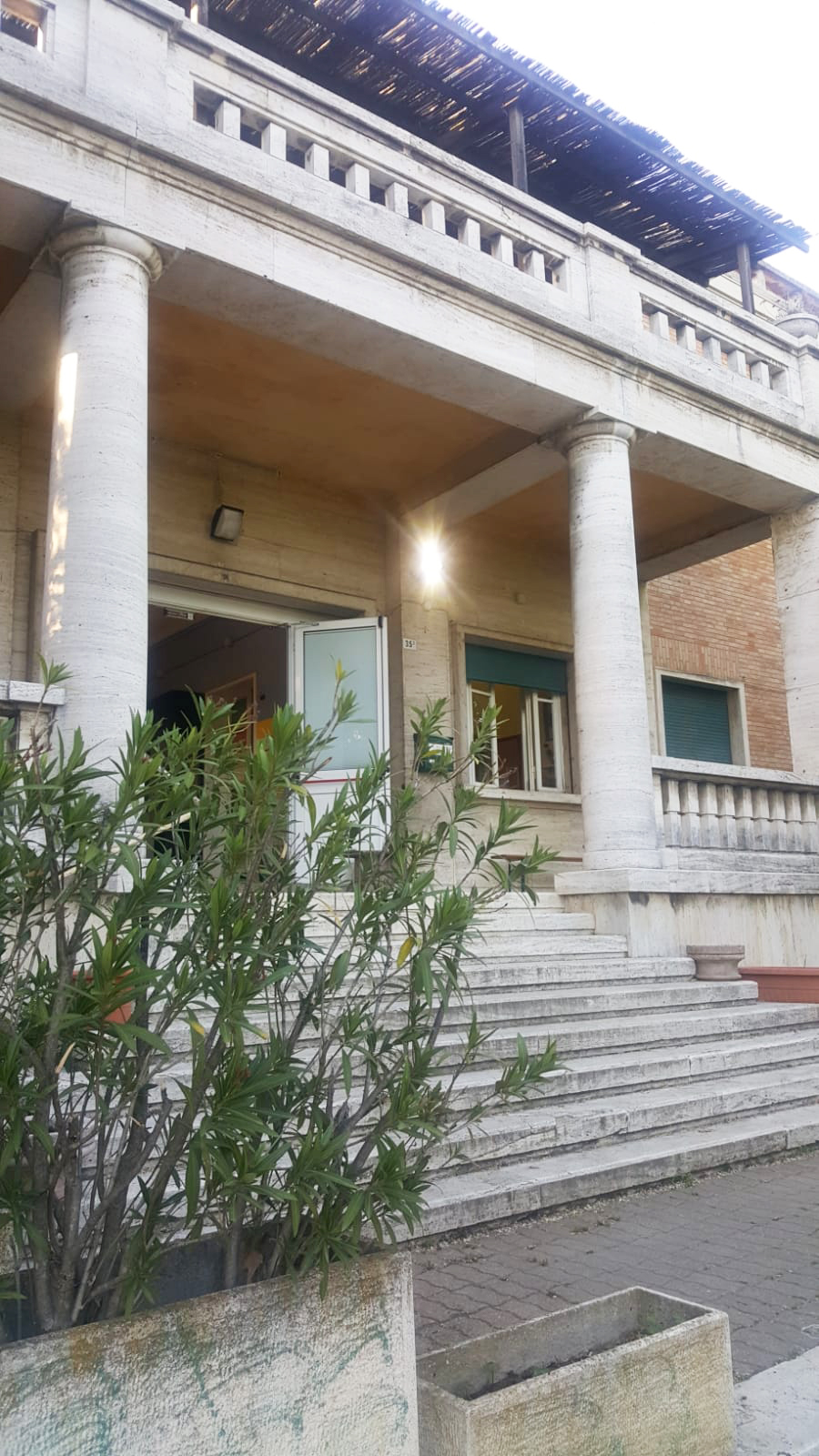 Un'immagine che ritrae porta, colonna, portico e palme.