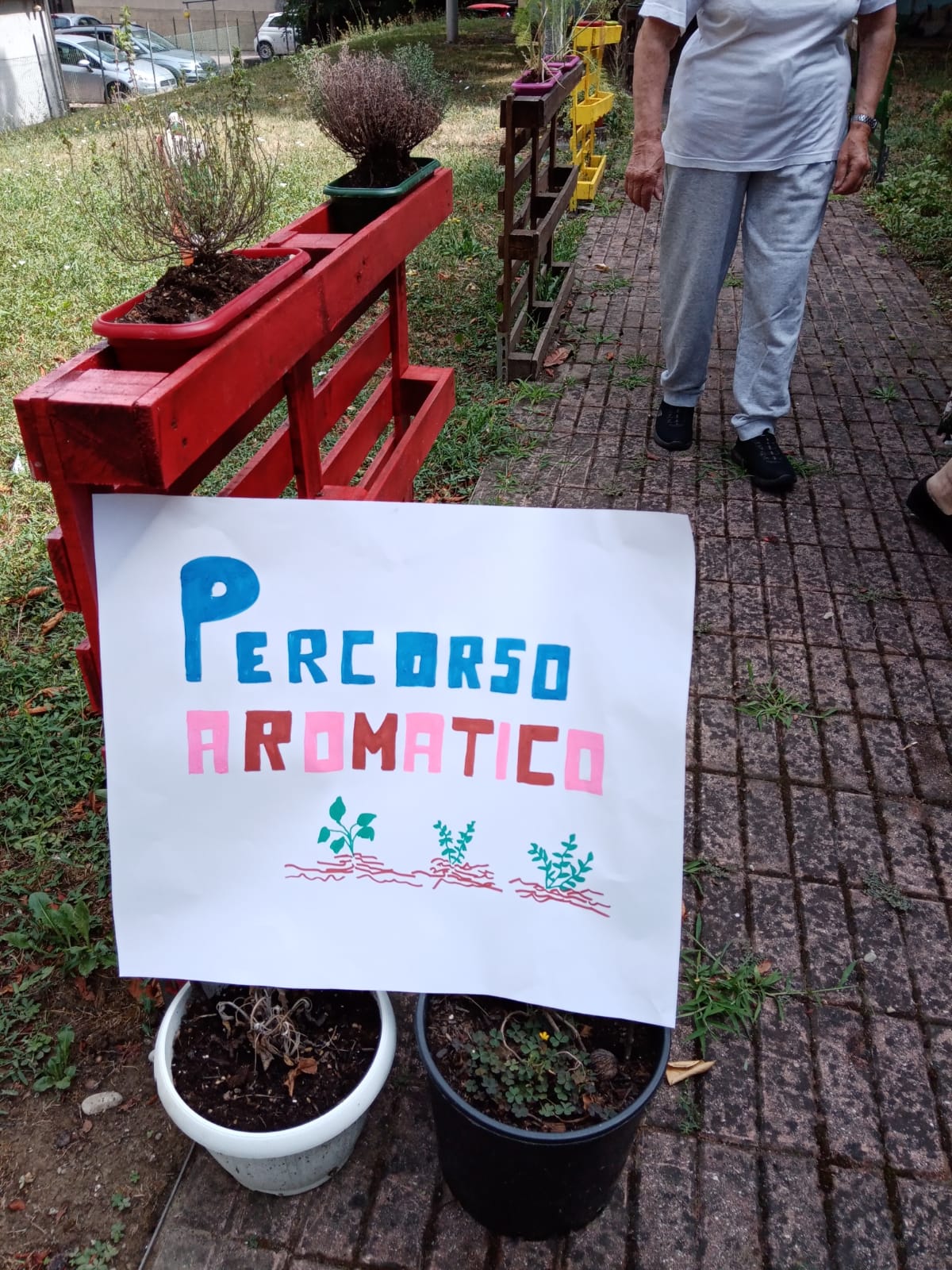 Un'immagine che ritrae vaso di fiori, fioraio, pianta da appartamento, erba e grafia.