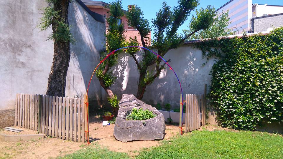 Un'immagine che ritrae foglia, pianta legnosa, giardino, cortile e ombra.