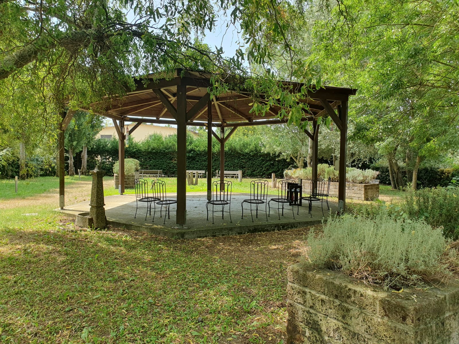 Un'immagine che ritrae albero, ombra, giardino, gazebo e padiglione.