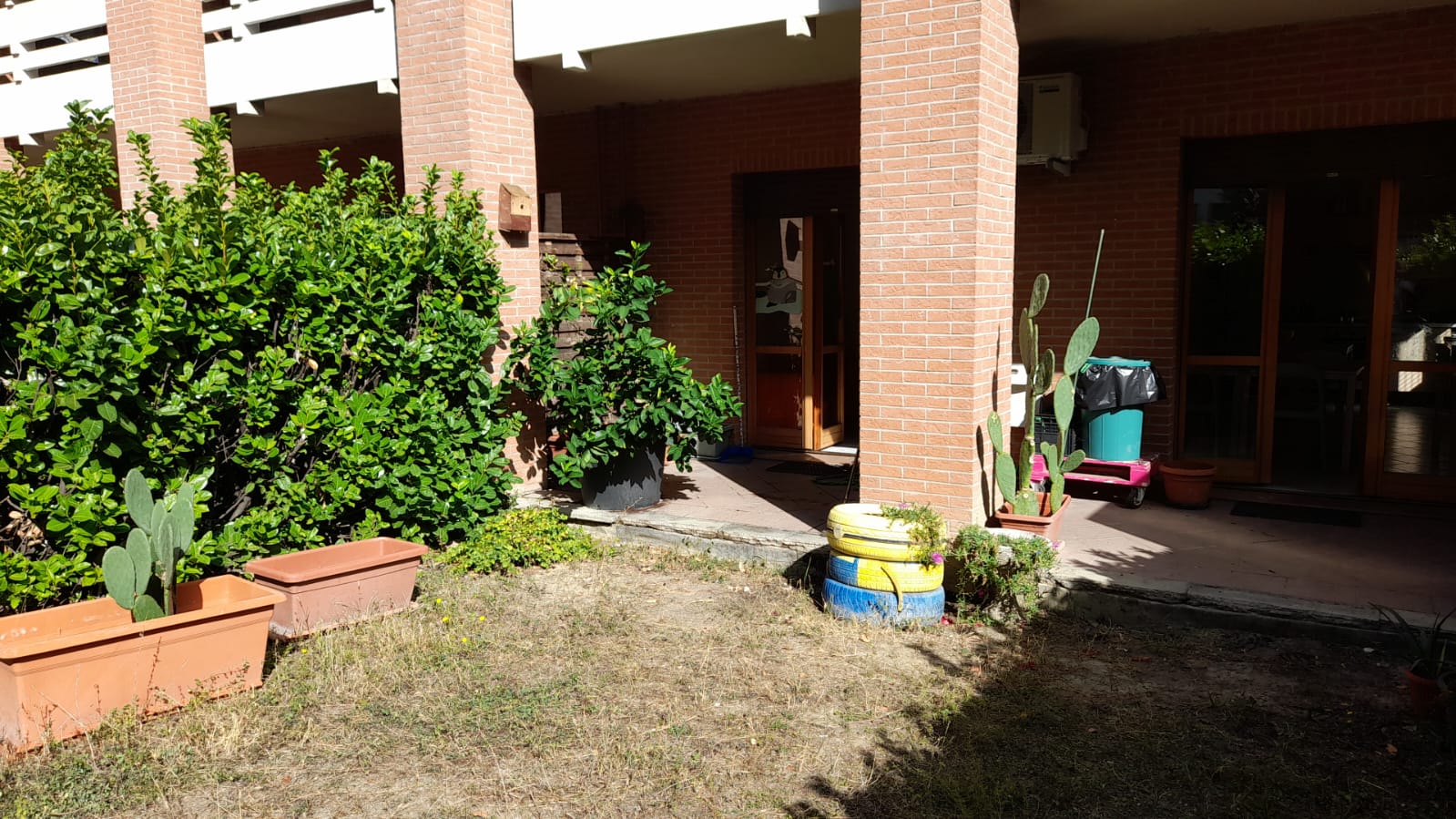 Un'immagine che ritrae arbusto, giardino, ombra, cortile e cortile.
