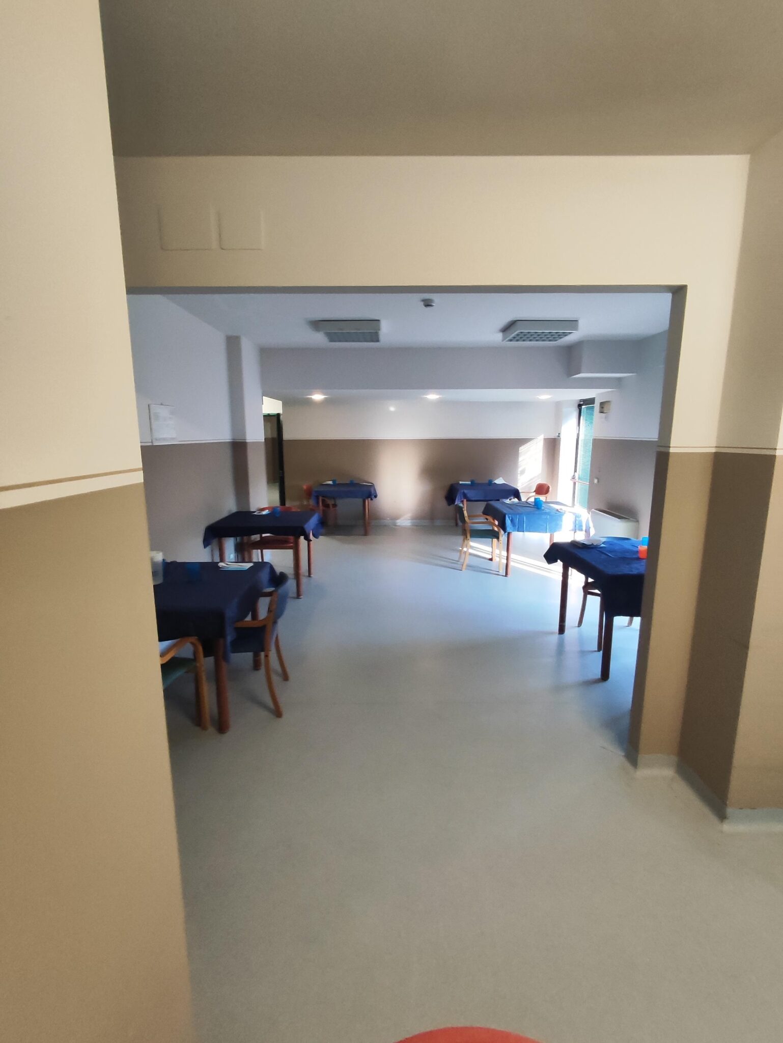 Un'immagine che ritrae legna, pavimentazione, pavimento, design d'interni e soffitto.
