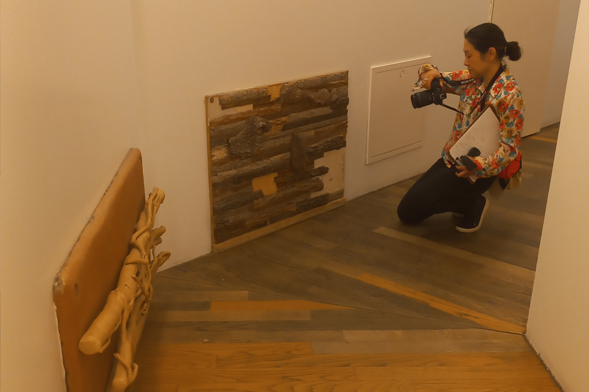 Un'immagine che ritrae pavimentazione, legna, pavimento, pavimenti in legno e legno duro.