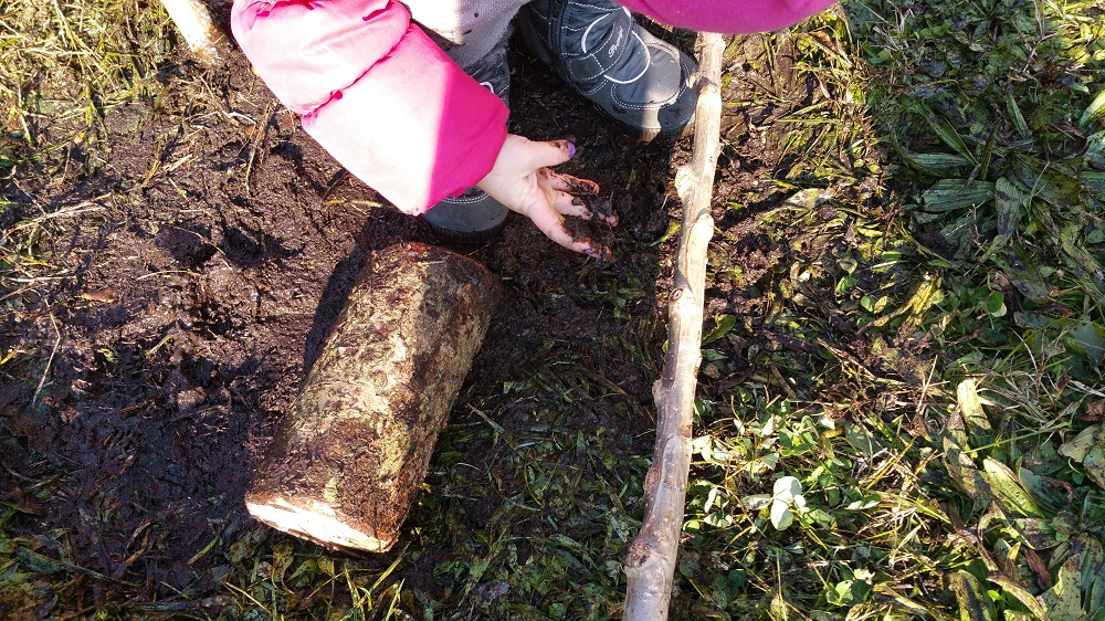 Un'immagine che ritrae suolo, agricoltura, piantagione, bambino e giardinaggio.