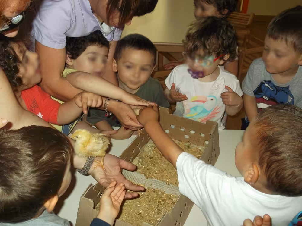 Un'immagine che ritrae maglietta, bambino, dito, camicia e orecchio.