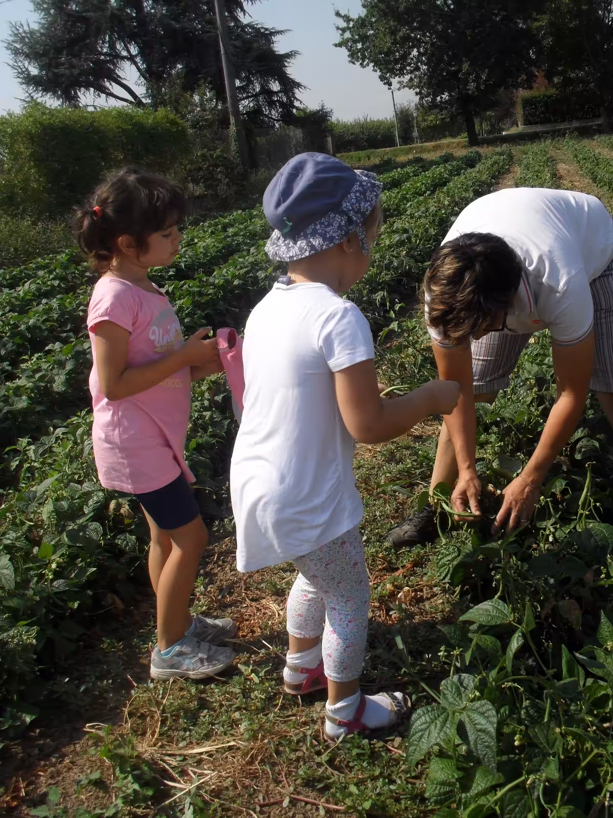 Un'immagine che ritrae bambino, piantagione, zona rurale, agricoltura e persone nella natura.