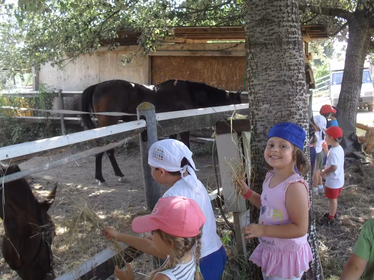 Un'immagine che ritrae ricreazione, animale da lavoro, cavallo, bambino e tempo libero.