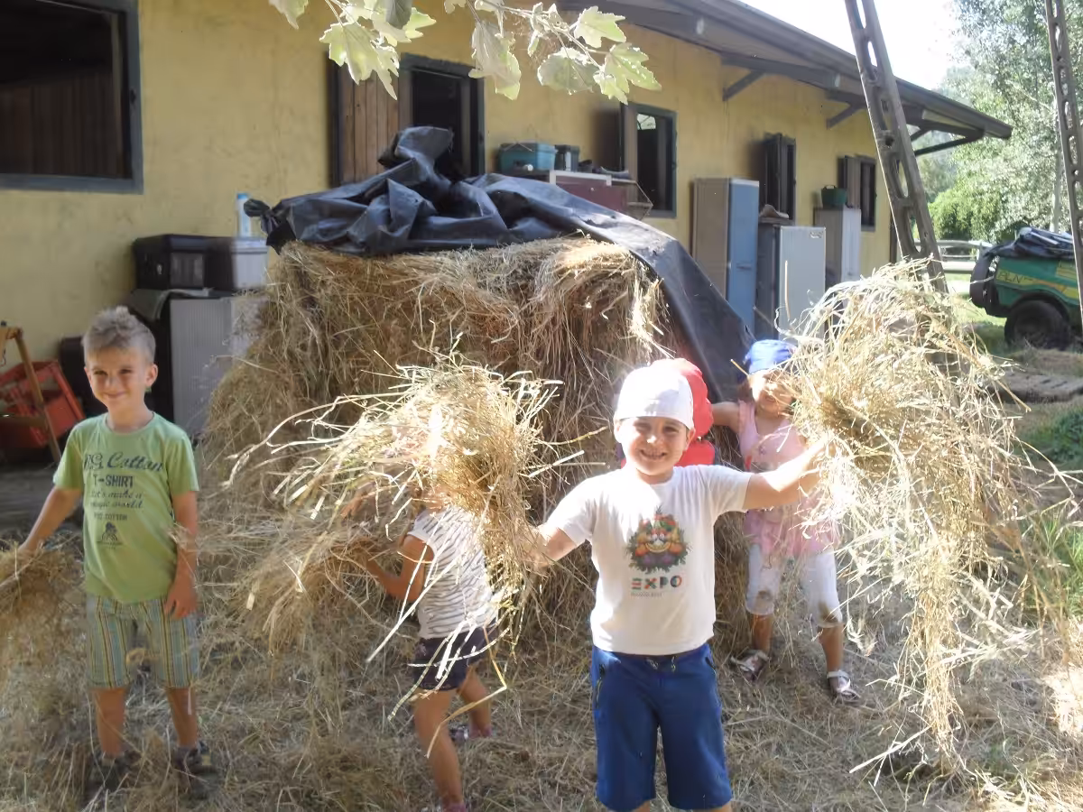 Un'immagine che ritrae fieno, paglia, bambino, suolo e agricoltura.