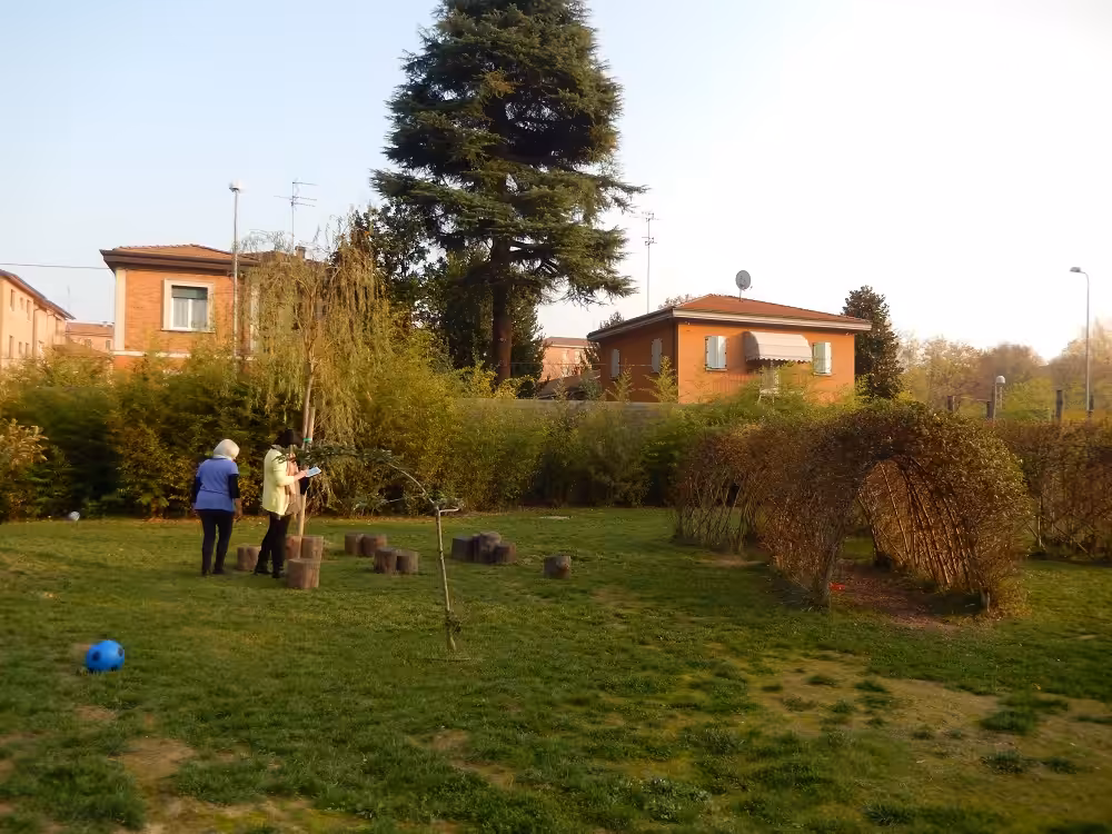 Un'immagine che ritrae erba, arbusto, giardino, lotto di terreno e prato.