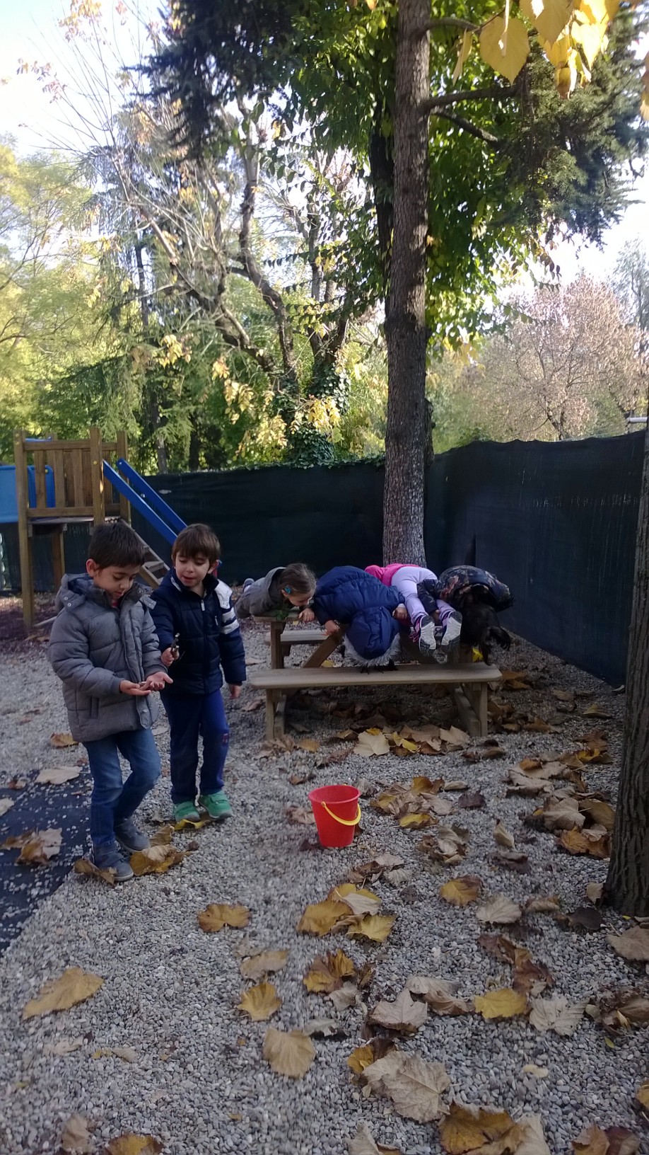 Un'immagine che ritrae ricreazione, bambino, tempo libero, bambino che fa i primi passi e parco.