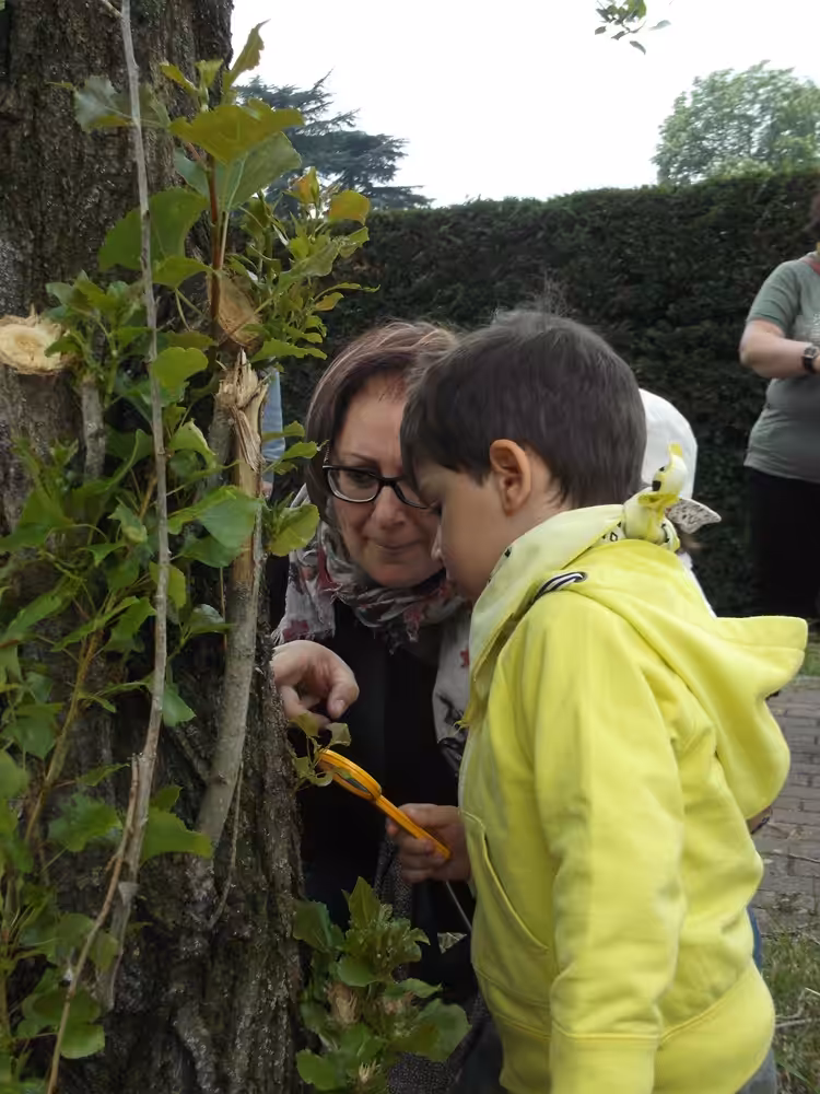 Un'immagine che ritrae foglia, persone nella natura, primavera, bambino e tempo libero.