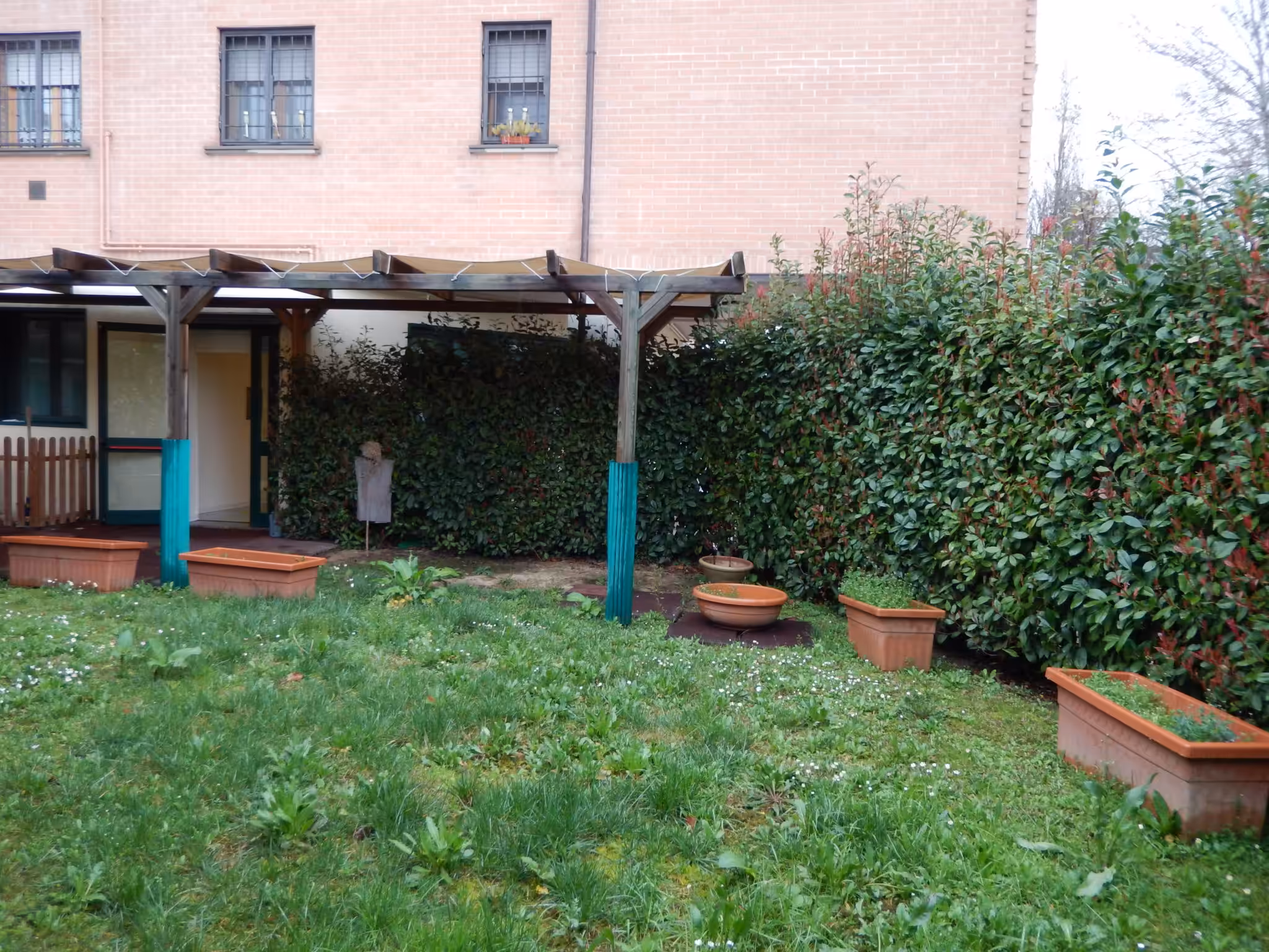 Un'immagine che ritrae arbusto, giardino, cortile, ombra e prato.
