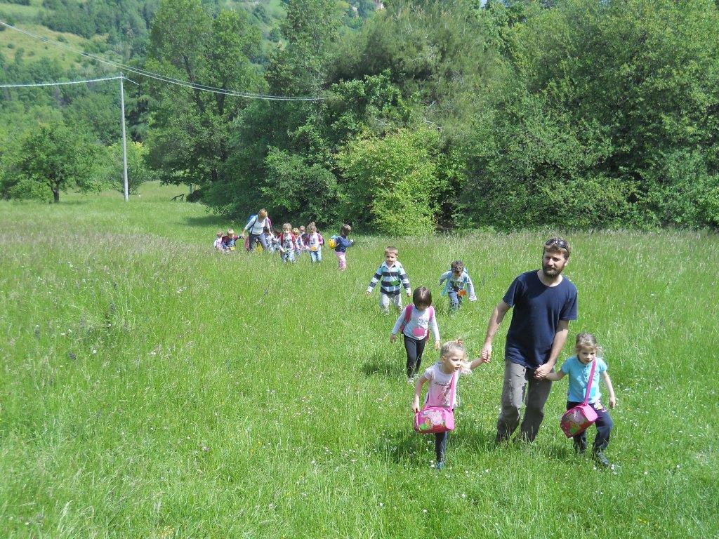 Un'immagine che ritrae erba, ambiente naturale, prateria, piante e ricreazione.