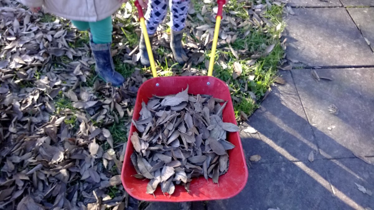 Un'immagine che ritrae suolo, materiale naturale, plastica, attrezzo da giardino e giardinaggio.