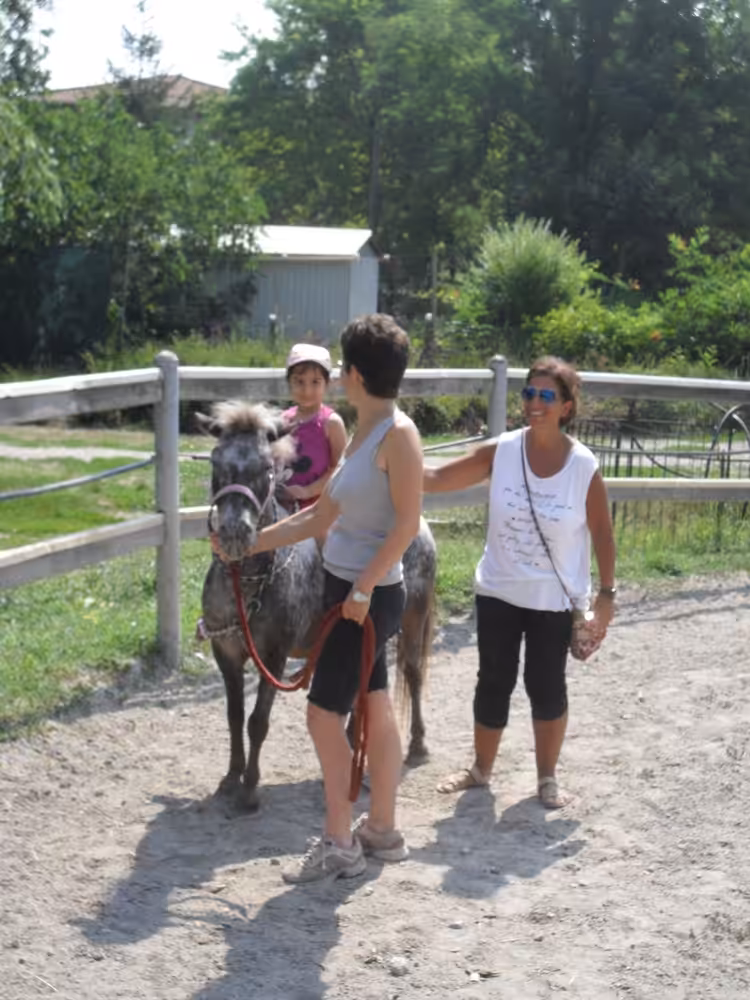 Un'immagine che ritrae animale da lavoro, ricreazione, cavallo, divertimento e tempo libero.
