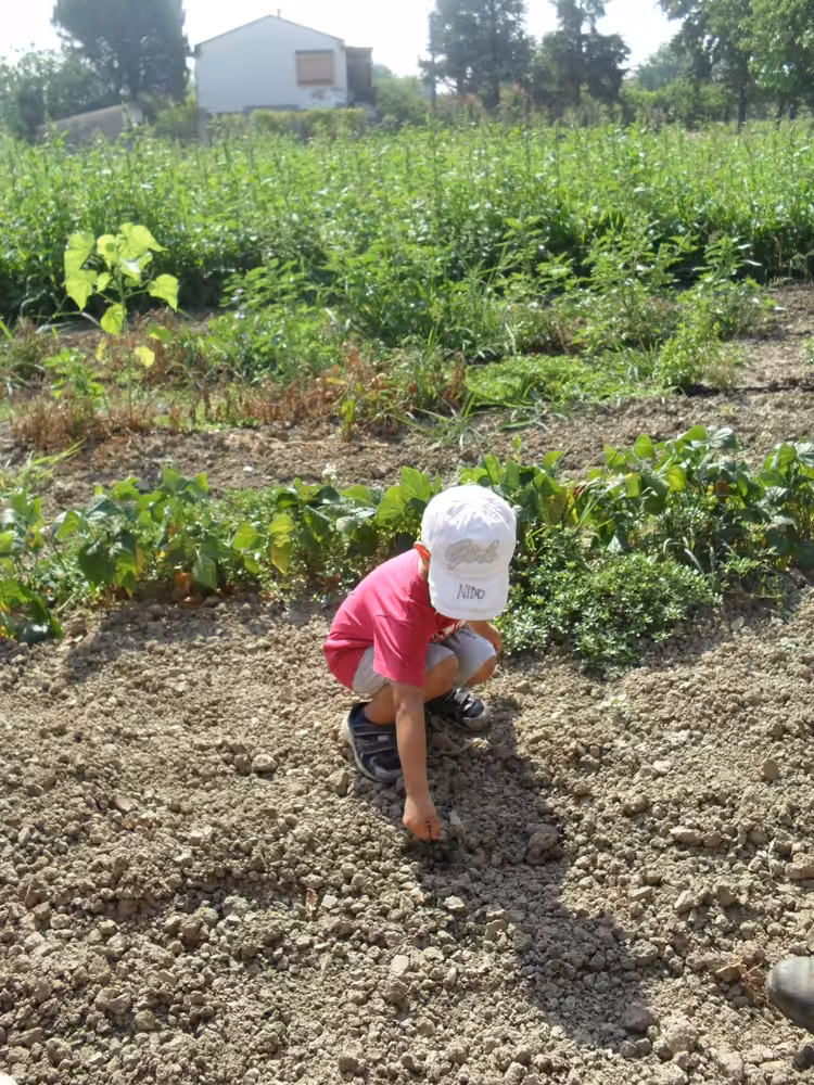Un'immagine che ritrae suolo, bambino, piantagione, agricoltura e campo.