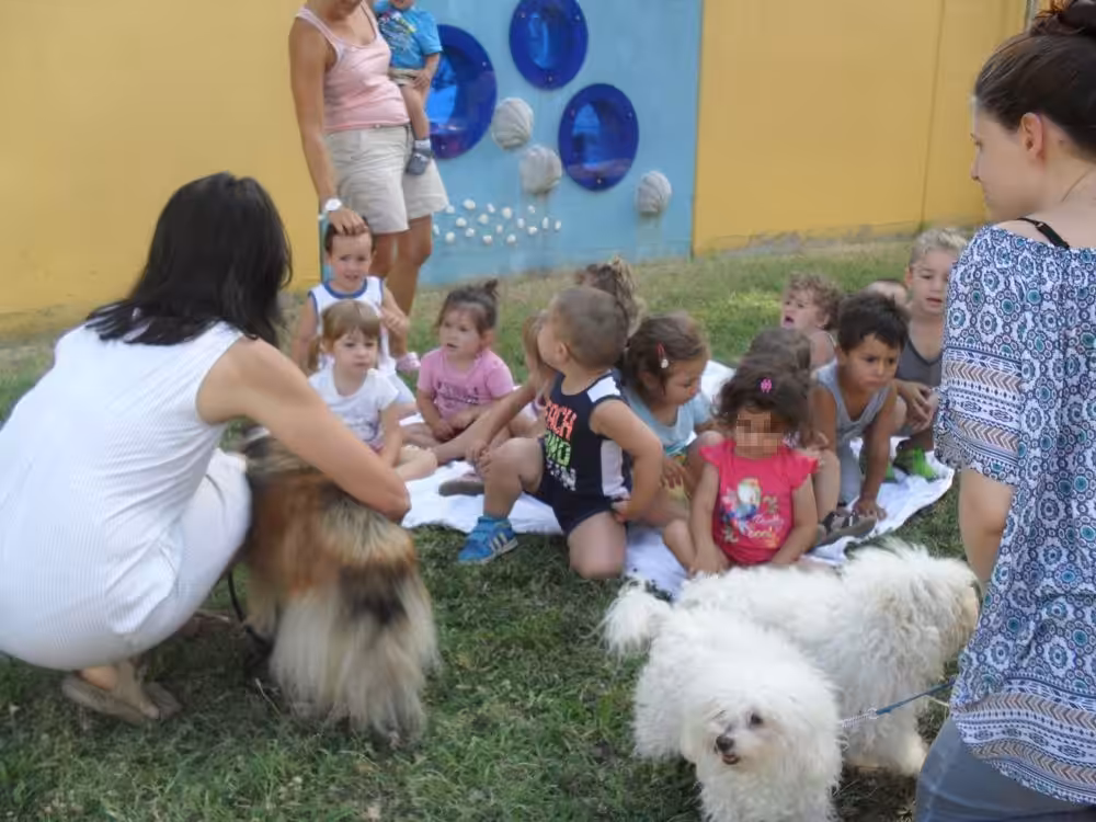 Un'immagine che ritrae cane, carnivori, vertebrato, bambino e divertimento.