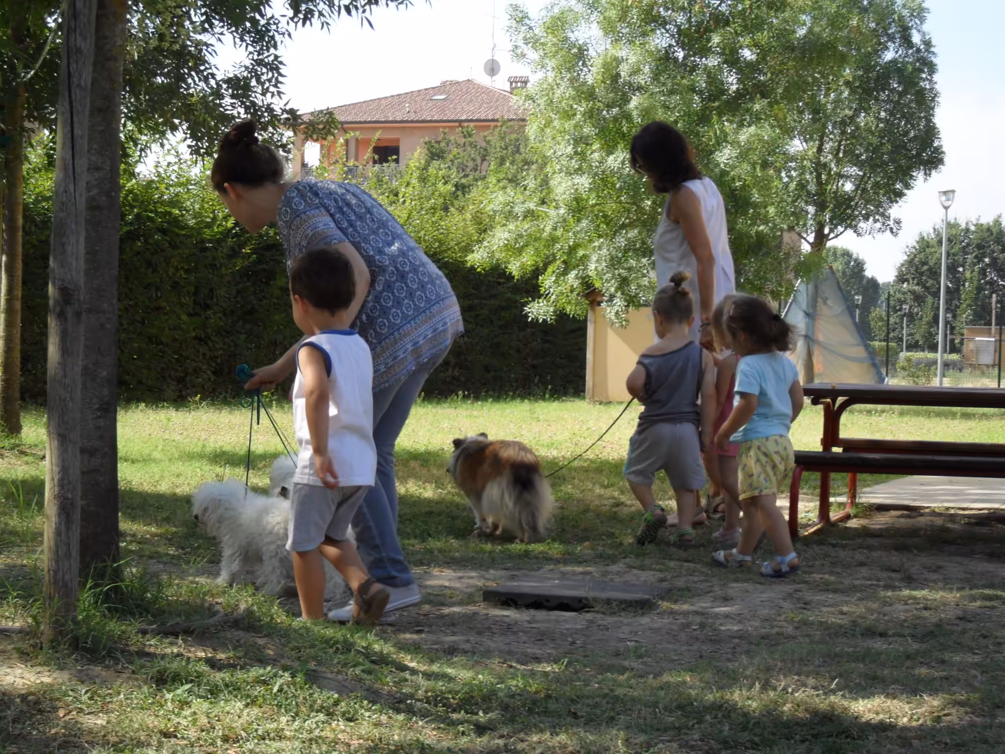 Un'immagine che ritrae cane, ricreazione, carnivori, bambino e tempo libero.