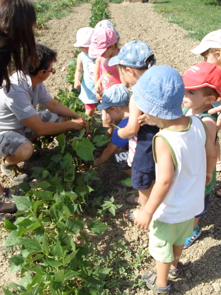 Un'immagine che ritrae comunità, bambino, ricreazione, agricoltura e suolo.