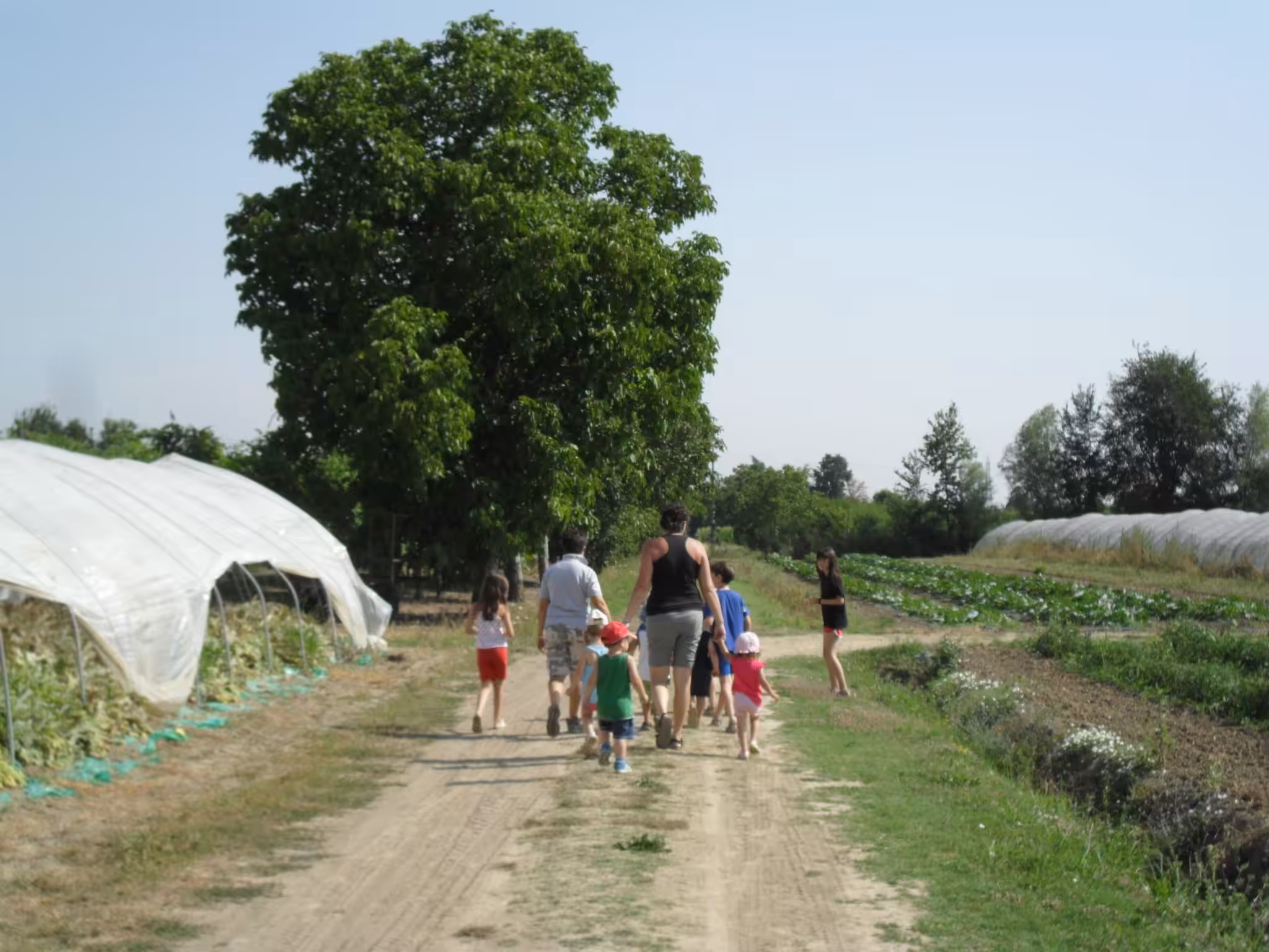 Un'immagine che ritrae ricreazione, zona rurale, suolo, tempo libero e agricoltura.