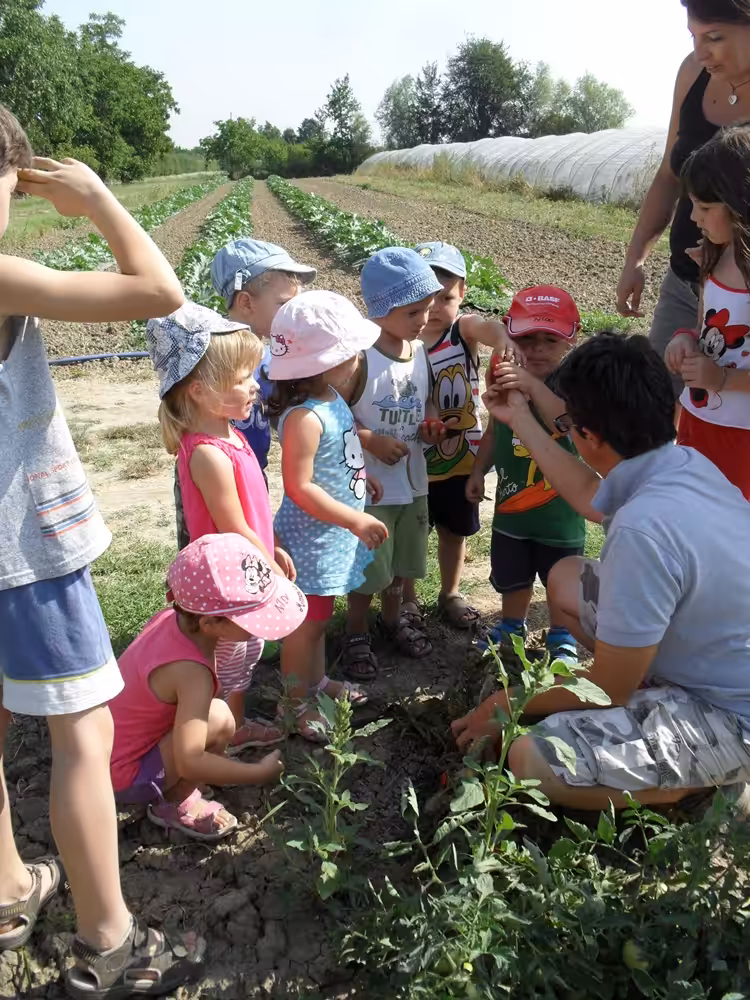 Un'immagine che ritrae pantaloncini, cappello, comunità, ricreazione e bambino.