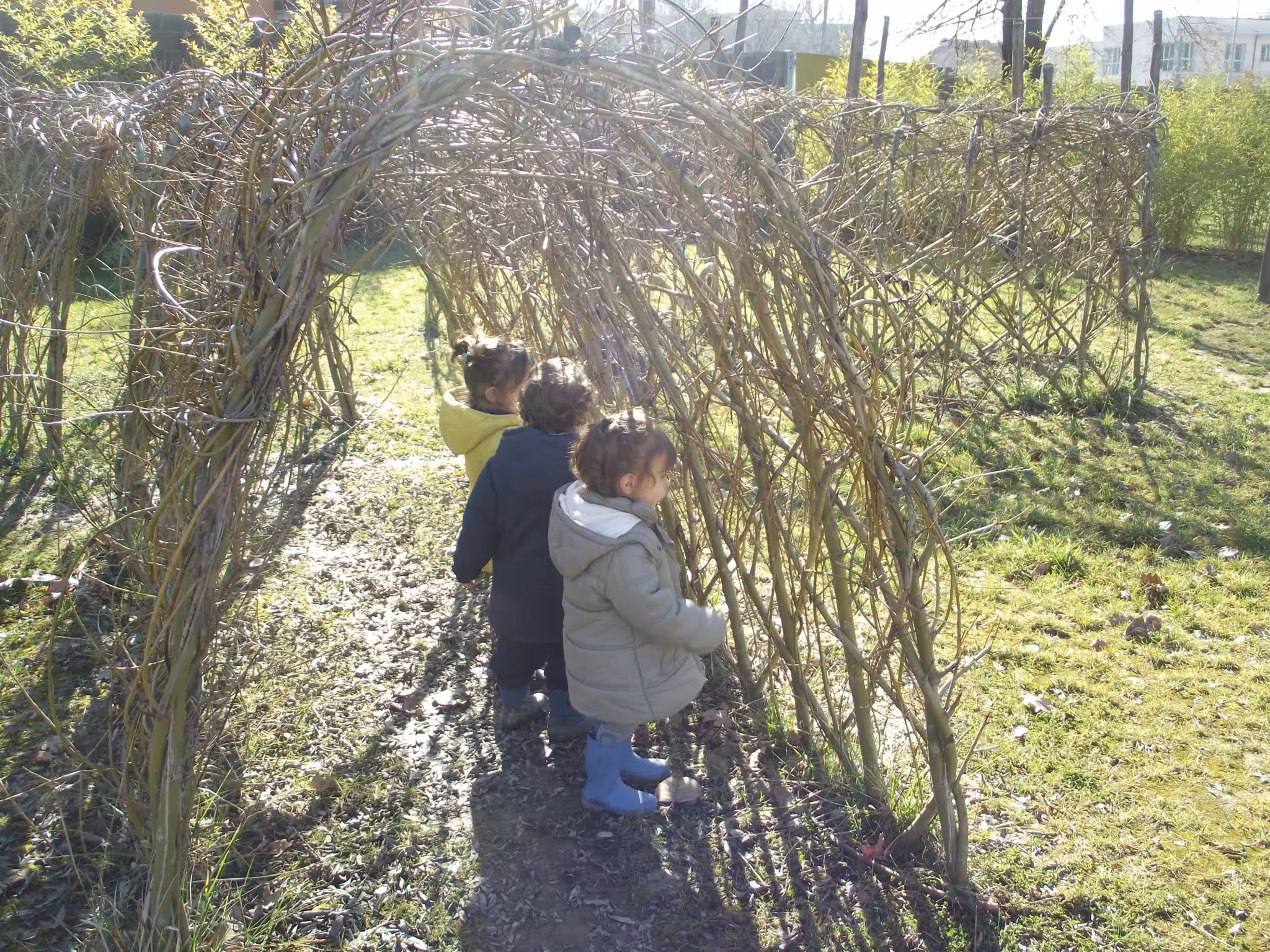 Un'immagine che ritrae ramo, foglia, ricreazione, erbe e bambino.