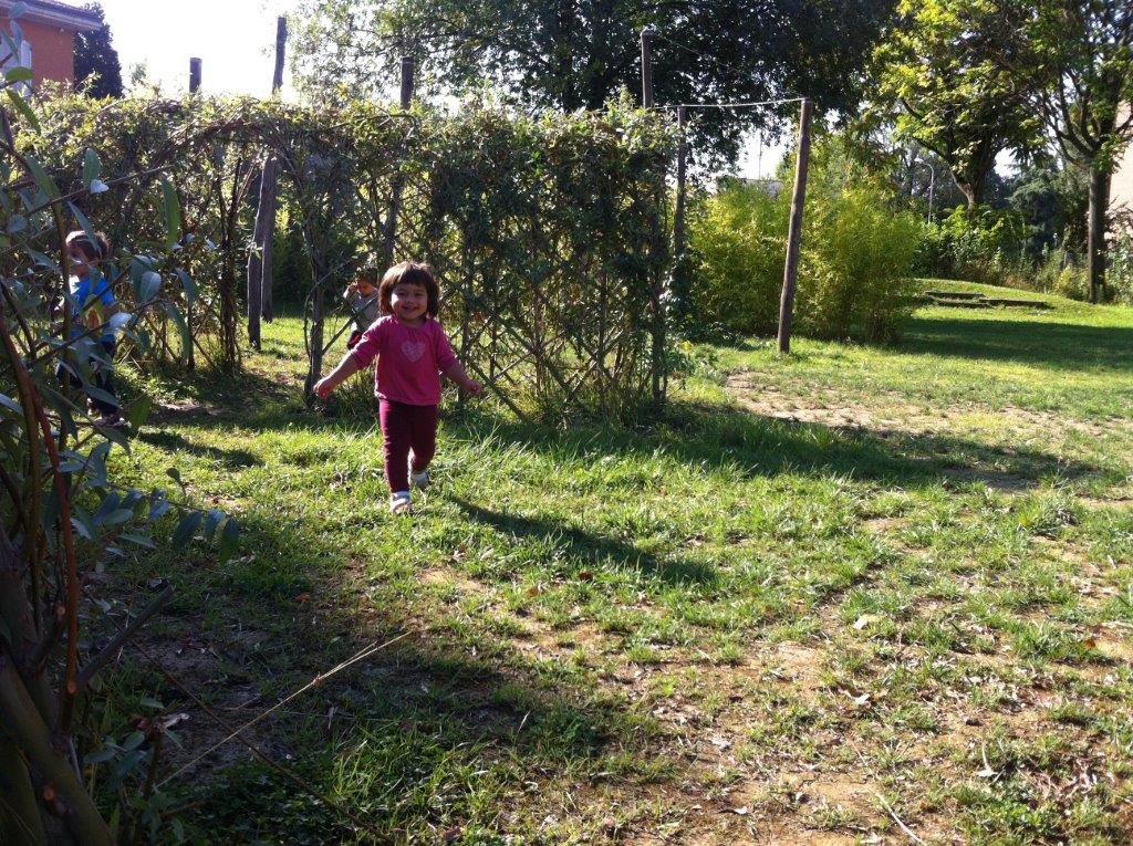 Un'immagine che ritrae erba, foglia, piante, arbusto e giardino.
