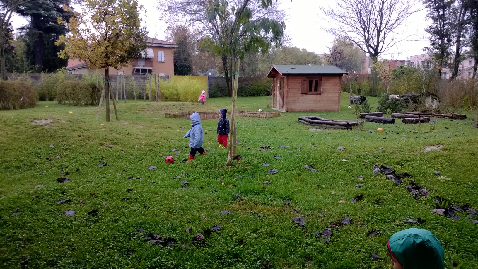 Un'immagine che ritrae erba, piante, giardino, ricreazione e prato.